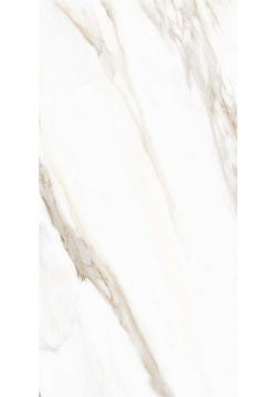 Керамогранит Tuscania Ceramiche R63WMCA White Marble Calacatta Oro Rett  61х122 2 см