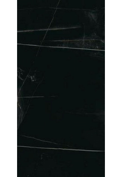 Керамогранит Edilcuoghi Edilgres n149501 Italian Marble Im Sahara Noir Polished 60х120 см