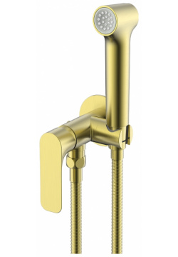 Гигиенический душ со смесителем Raglo R03 52 03 Золото матовое