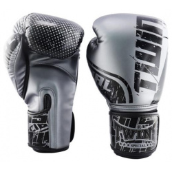 Боксерские перчатки Range Black Grey  10 OZ Twins Special