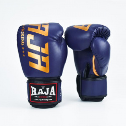 Боксерские перчатки Model 2 Blue/Gold  16 OZ Raja
