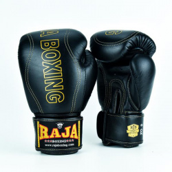 Боксерские перчатки Boxing Porsche  16 OZ Raja