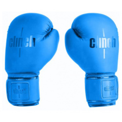 Перчатки боксерские Mist синие  12 унций Clinch C143