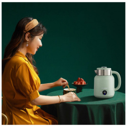Электрический чайник Qcooker Retro Electric Kettle 1 5L Зелёный CR SH1501 G