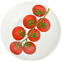 Тарелка суповая 20 5 см Taitu Freedom Vegetable красный DMH 1 85 C 