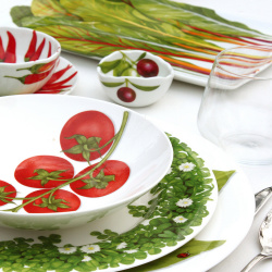 Тарелка суповая 20 5 см Taitu Freedom Vegetable красный DMH 1 85 C