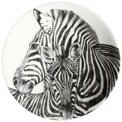 Тарелка десертная 22 см Taitu Wild Spirit Zebra DMH 12 1 D 
