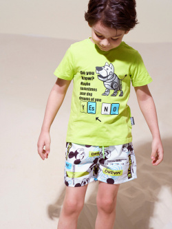 Плавательные шорты (Бордшорты) с принтом Disney для мальчика PlayToday Kids П