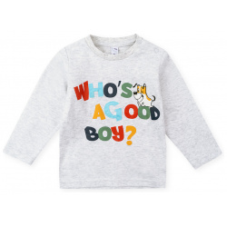 Серый лонгслив со шрифтовым принтом для мальчика PlayToday Newborn Светло серая