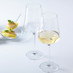 Бокал для белого вина Leonardo Puccini 560мл 069553 Особенностью серии
