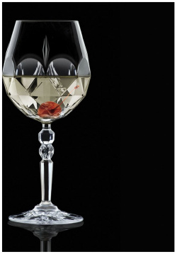 Набор бокалов для вина Rcr Cristalleria Italiana Alkemist 532мл  6шт 26521020006
