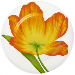 Тарелка обеденная Taitu Freedom Flower 1 80 D 