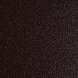 Салфетка сервировочная Zapel Eco Leather brown STPG008