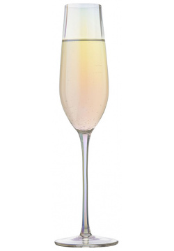 Набор бокалов для шампанского Liberty Jones Gemma Opal 225мл  2шт HM GOL CHGLS 225 2