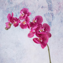 Цветы искусственные FloDecor Орхидея 96см  цвет темно розовый ORT9612/dark pink