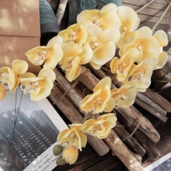 Цветы искусственные FloDecor Орхидея 96см  цвет желтый ORT9612/yellow