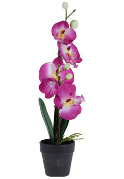 Орхидея в горшке Гарда Декор 15x15x38см Garda Decor 317002680 
