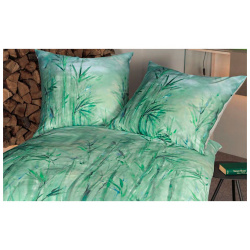 Комплект постельного белья 1 5 спальный Janine Modern Art  зеленый 42039 06/200155
