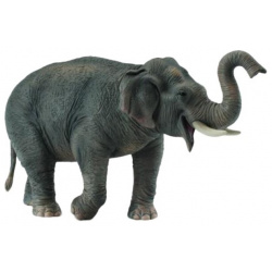Фигурка животного Азиатский слон Collecta 