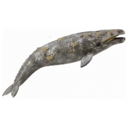 Фигурка животного Серый кит Collecta 