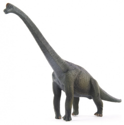 Collecta Набор динозавров 5 шт №1