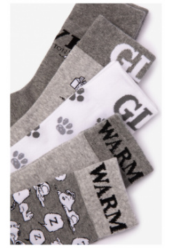 Комплект носков для мальчика с принтом в подарочной упаковке Gulliver (18 20)
