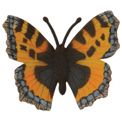 Бабочка  M Collecta