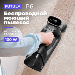 Пылесос Futula P6 серый  черный 00 00215103 Ручной моющий