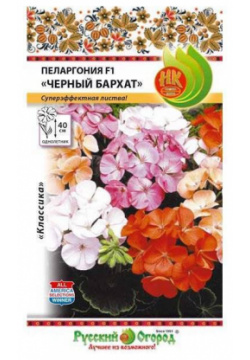Цветы пеларгония Русский огород черный бархат смесь 