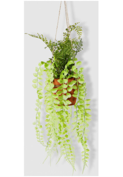 Цветок искусственный Конэко О в подвесном керамическом кашпо 