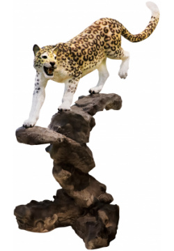 Декоративная садовая фигура Тпк полиформ Пантера на камне Н 170*80*180см 