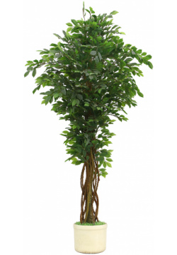 Дерево искусственное Конэко о фикус зеленый 