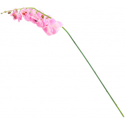 Цветок искуственный Fuzhou Light Орхидея розовый 102 см 