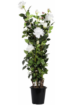 Искусственное растение Tianjin белая роза в кашпо 137 см 