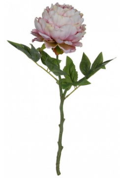 Цветок искусственный Glasar 13х13х44 см пион с нежным розовым