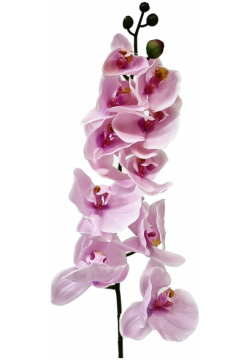Орхидея фаленопсис Конэко О 76121 102 см Декоративная