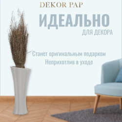 Сухоцветы Dekor pap IJ0073 40 80 см