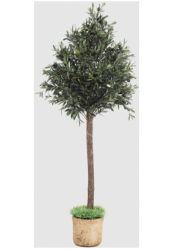 Дерево оливковое Конэко О 150 см 