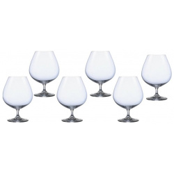 Набор бокалов для коньяка Crystalex виола 600 мл 6 шт 