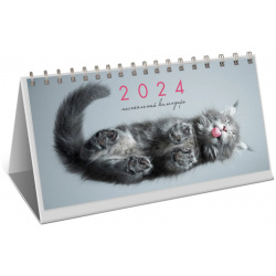Календарь на 2024 Канц Эксмо настольный котики 