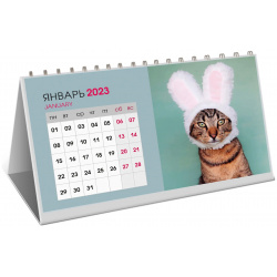 Календарь на 2024 Канц Эксмо настольный котики