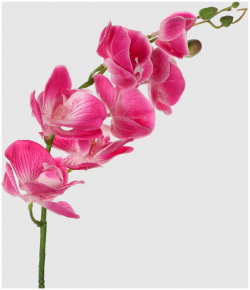 Орхидея в белом кашпо Конэко О 574_10159_185 60 см