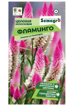 Семена Semagro целозии колосистой фламинго 