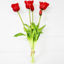 Связка тюльпанов Конэко О KR_10152 45 см 5 шт 