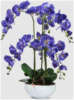 Орхидея Конэко О 567_X6_10157 фиолетовая в белом кашпо 60 см 