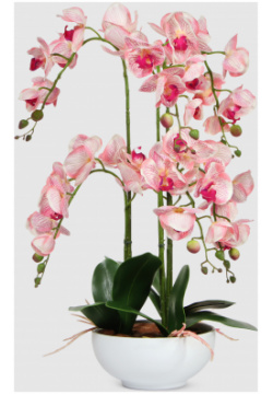 Орхидея Конэко О 566_X6_10157 розовая в белом кашпо 60 см 