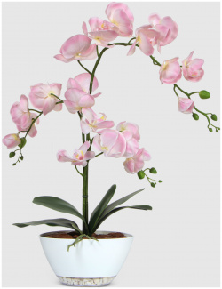 Орхидея Конэко О нежно розовая в белом кашпо лодочка 65 см 