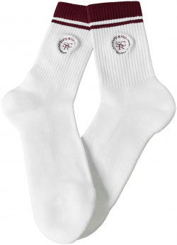 Embroidered logo socks SPORTY & RICH SOAW232WH