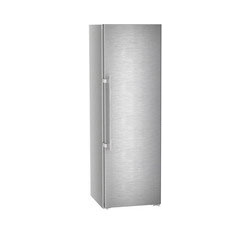Однокамерный холодильник Liebherr Rsdd 5250 20 001 фронт нерж  сталь Тип