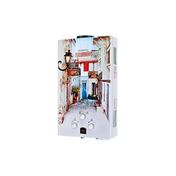 Водонагреватель проточный газовый Edisson E 20 GD Лиссабон Тип водонагревателя: